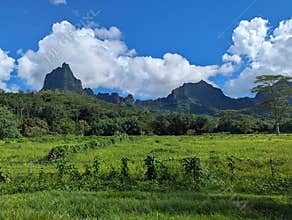 Landscape in Moorea