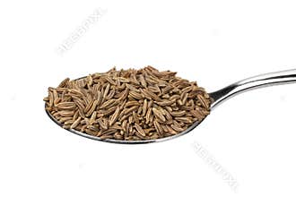 Metal spoon with dried caraway seed close up on white background