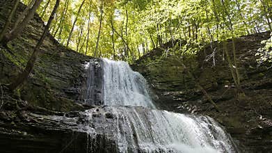 Forest waterfall