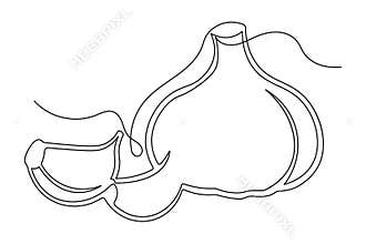 Continuous one line garlic outline in clean minimal design