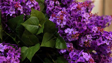 Fresh violet blossoms for candied confections at Demel Vienna 20 January 2025
