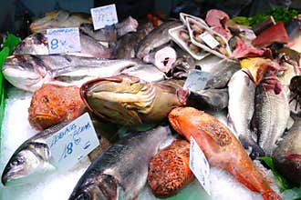 Fish Market