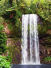 Millaa Millaa Falls