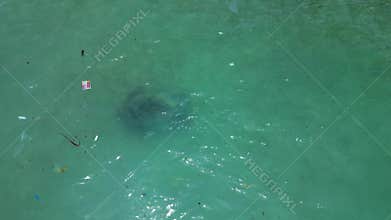 big sea turtle swimming among plastic ocean pollution. Smooth aerial view drone