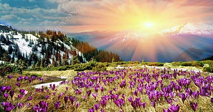 In March-April after a winter