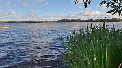 Lake landscape with reeds on the shore and a cloudy sky