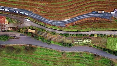 Aerial agricultural fields arranged on hillside farmland. Terraced rows plants