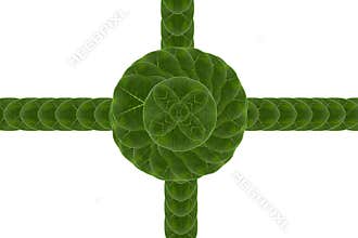 Card form leaf.