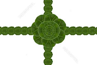 Card form leaf.