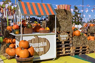 Outdoor Pumpkin Farm market stand showcases vibrant autumn harvest gourds, hay bales, festive decorations, and fresh produce,