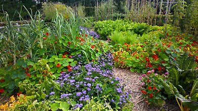 Flowering and vegetable plants in Michigan farm garden with in Frederik Meijer Gardens in Grand Rapids