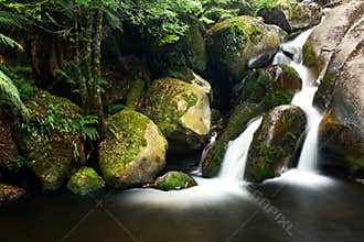 Rainforest Waterfall
