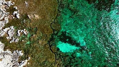 turquoise seabed showing Posidonia oceanica seagrass. Amazing aerial view drone
