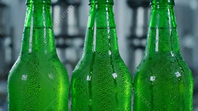 Green Glass Bottles Moving on Conveyor Belt in Factory During the Day
