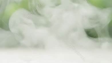White Fog Rolls Over Lush Greenery in Garden Setting