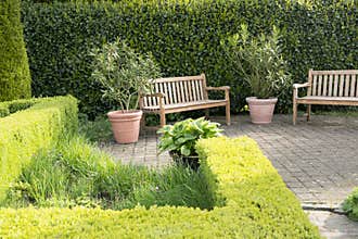 Garden relaxing place