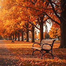 Autumn scene with park bench and colorful trees, idyllic fall scenery with leaves falling, perfect for seasonal background.