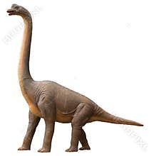 Sauropod dinosaur