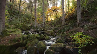 Autumn woodland and cascading water at Wyming Brook in the Derbyshire, Peak District National Park