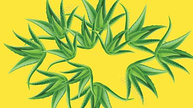 draw set of five brown flower decorate with aloe vera in oval shape on yellow screen background