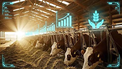 Modern Dairy Farm Barn Interior with Cows Feeding and Futuristic Digital Growth Analytics Displayed in Holographic Interface