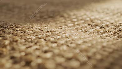 Plush carpets featuring small animals, including teddy bears and dogs, showcase juvenile quality, perfect for illustrations of