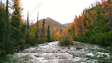 Scenic Little Sustina river rapids in autumn time in Alaska countryside