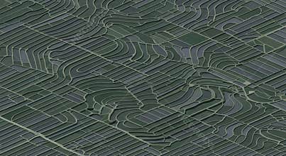 Abstract Textured Background of Intersecting Lines and Curves
