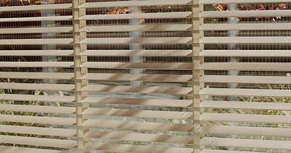 Sunlight Through Blinds: A Serene Home Decor Scene with Nature's Touch
