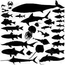 River and sea fish silhouette set. Marine fish and mammals. Sea