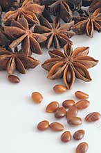 Spice - Star Anise, vertical, Illicium verum