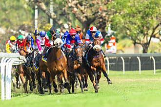 Horse Racing Jockey Action