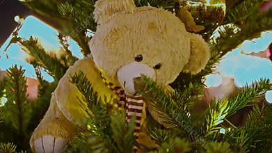Teddy bear ornament closeup. Teddy bear ornament on christmas tree. Christmas mood, Christmas tree is decorated toys