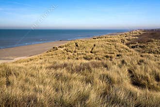 Dunes At The Coast