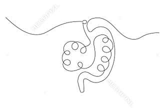 Modern minimalist stomach icon one continuous smooth line