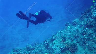 Scuba Diver at Tropical Reef HD
