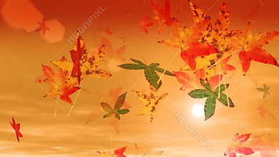 Autumn Leaves Falling (HD Loop)