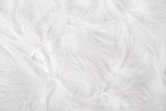 White feathers