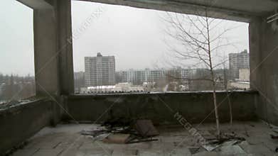 Tree inside the abandoned property