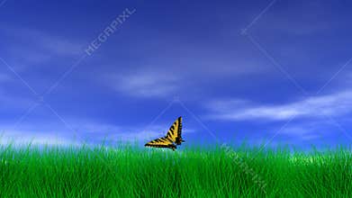 Butterfly on a Peaceful Day