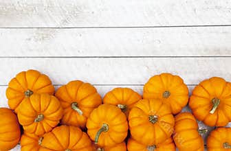 Autumn Pumpkin Thanksgiving Background