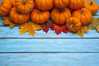 Autumn Pumpkin Thanksgiving Background