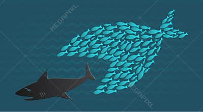 Together we stand: Big Little Fish eats Big Fish