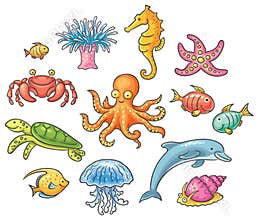Set of cartoon sea animals