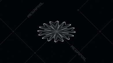 Abstract Dark Geometric Starburst Pattern Animation