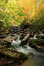 Autumn Comes to The Great Smoky Mountain National Park