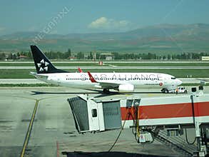 Star Alliance Boeing 737