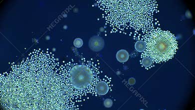 Microscopic view of cells and particles
