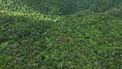 Top-down view capturing the geometric patterns of the Santa Ana Stone Tower within a tropical forest