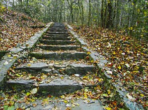Stone steps covered with autumn leaves in a forest path
